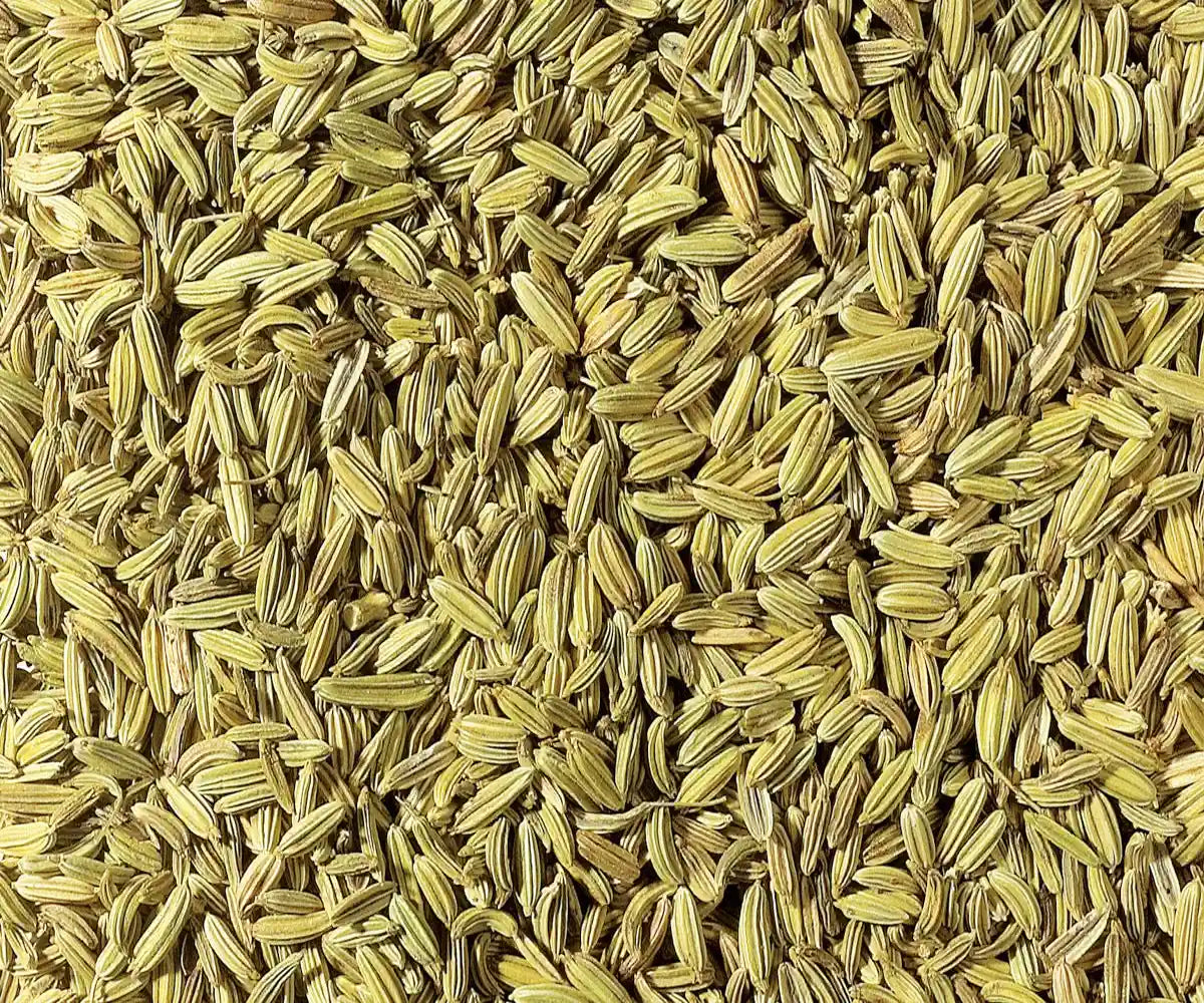 Fenchelsaat ganz – Naturbelassener Kräutertee mit mild-süßem Aroma