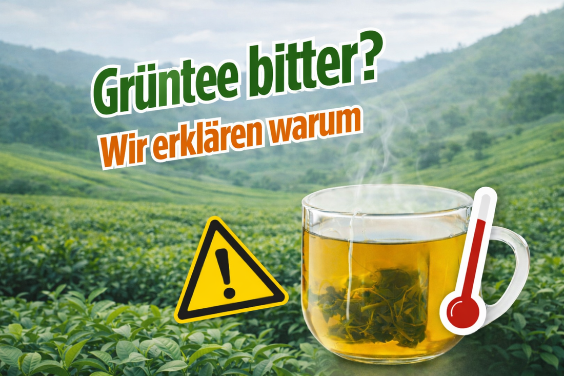 Grüntee auf einer Teeplantage mit dampfender Tasse – Titelbild zum Blogbeitrag „Grüntee bitter? Wir erklären warum“ über Bitterkeit durch falsche Zubereitung.