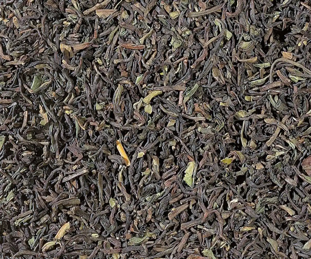 Darjeeling First Flush Lingia TGFOP Bio – Schwarzer Tee aus kontrolliert biologischem Anbau