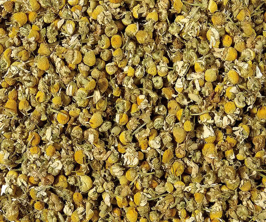 Kamille ganz – Reiner Kräutertee aus ganzen Blüten