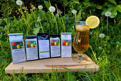 Sommerliche Außenaufnahme des Früchtetee-Probiersets mit fünf Sorten (Melone Mint, Tropenhimmel, Zitro-Schock, Aprikose Yuzu, Milde Limone) und einem Glas Eistee mit Zitrone im Gras.